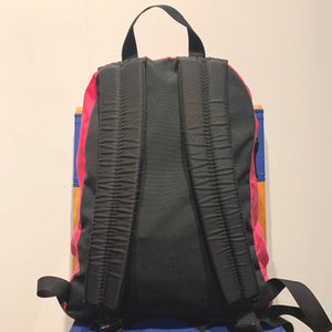 00s GREGORY/DAY PACK/MADE IN USA